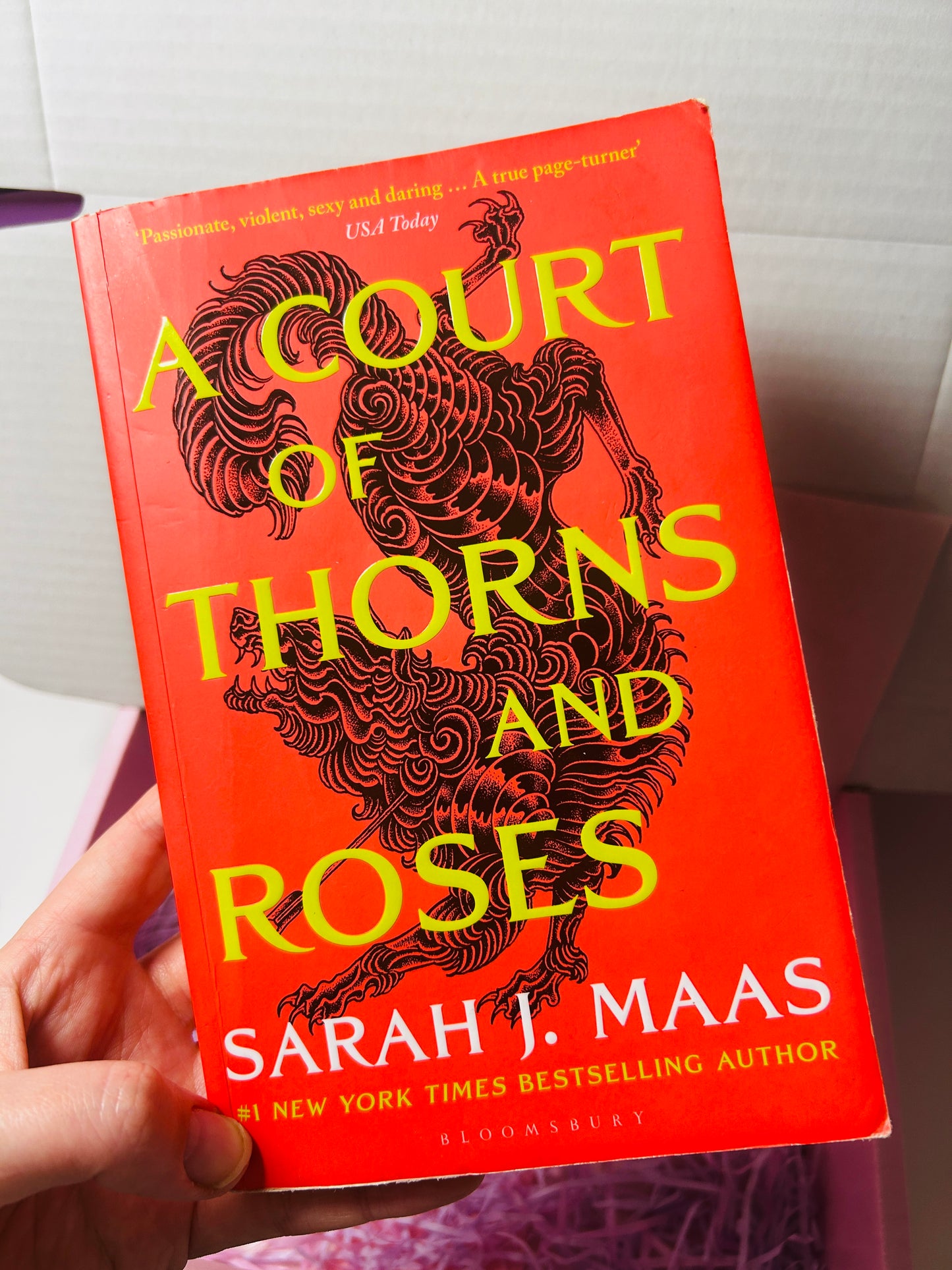 ACOTAR New Reader Mystery Bookish Box-Includes book!