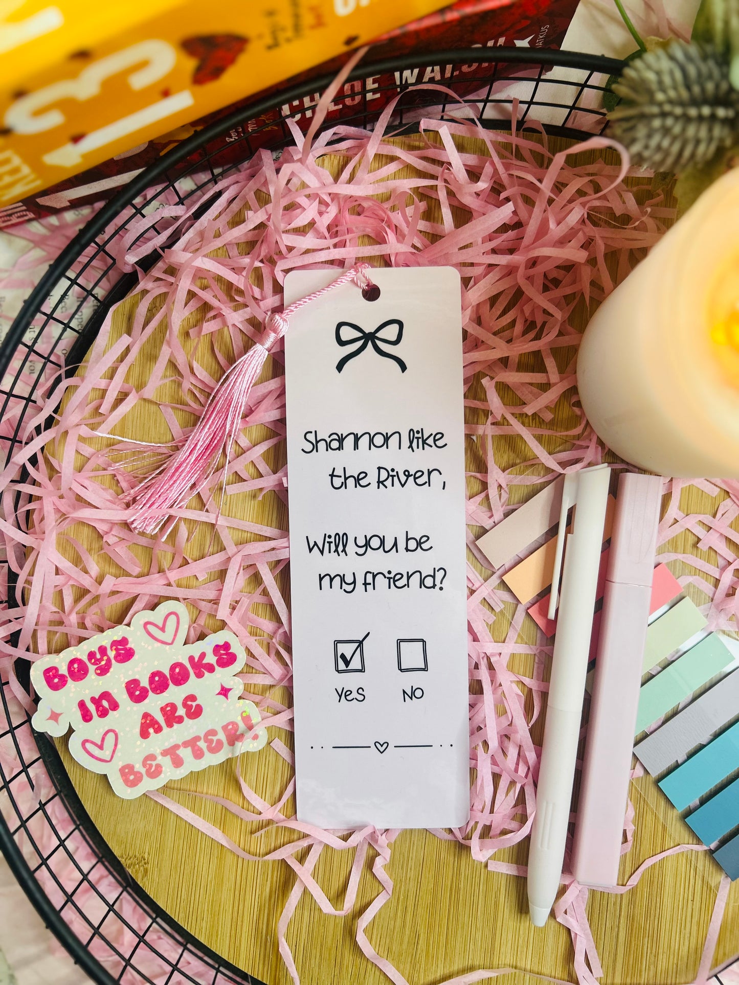 Two pink gingham bookmarks inspired by Binding 13, featuring a friendship note design with the phrase “Shannon like the River, Will you be my friend?” on one and a pink bow pattern on the other, styled with soft bookish decor.