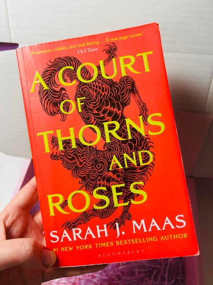 ACOTAR New Reader Mystery Bookish Box-Includes book!